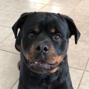 Meet your Posher, Anja